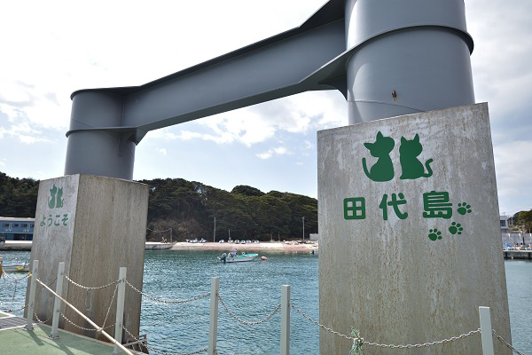 田代島の港の桟橋