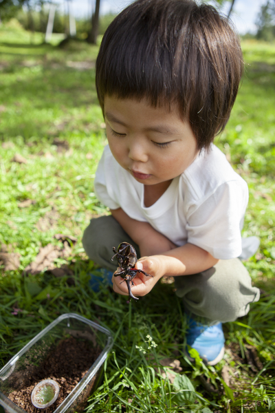 昆虫採集する子ども